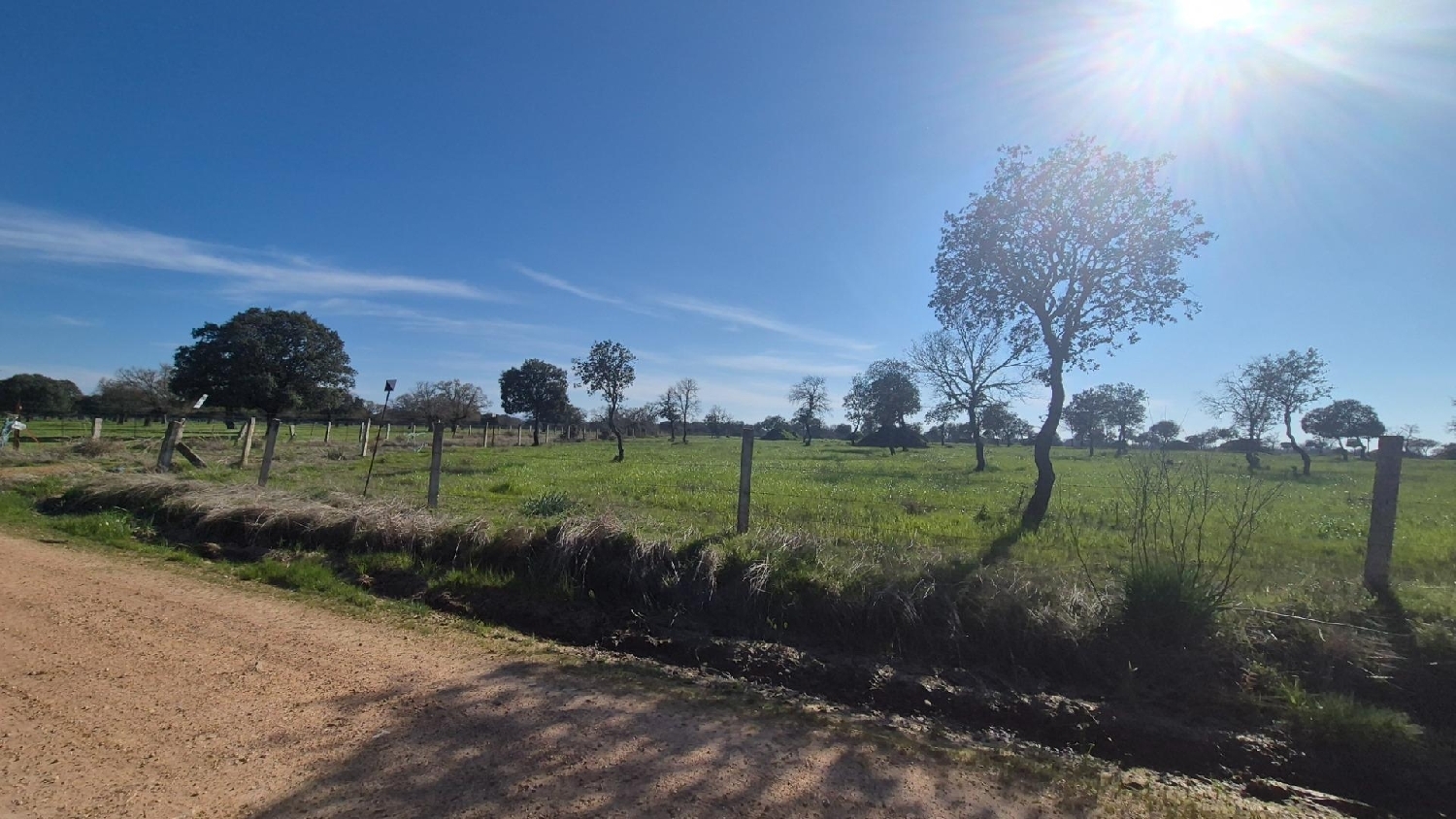  en venta terreno Carrascal Del Obispo Campo De Salamanca 3