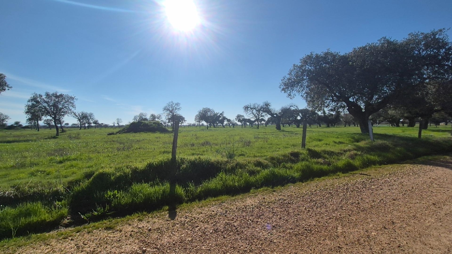  en venta terreno Carrascal Del Obispo Campo De Salamanca 8