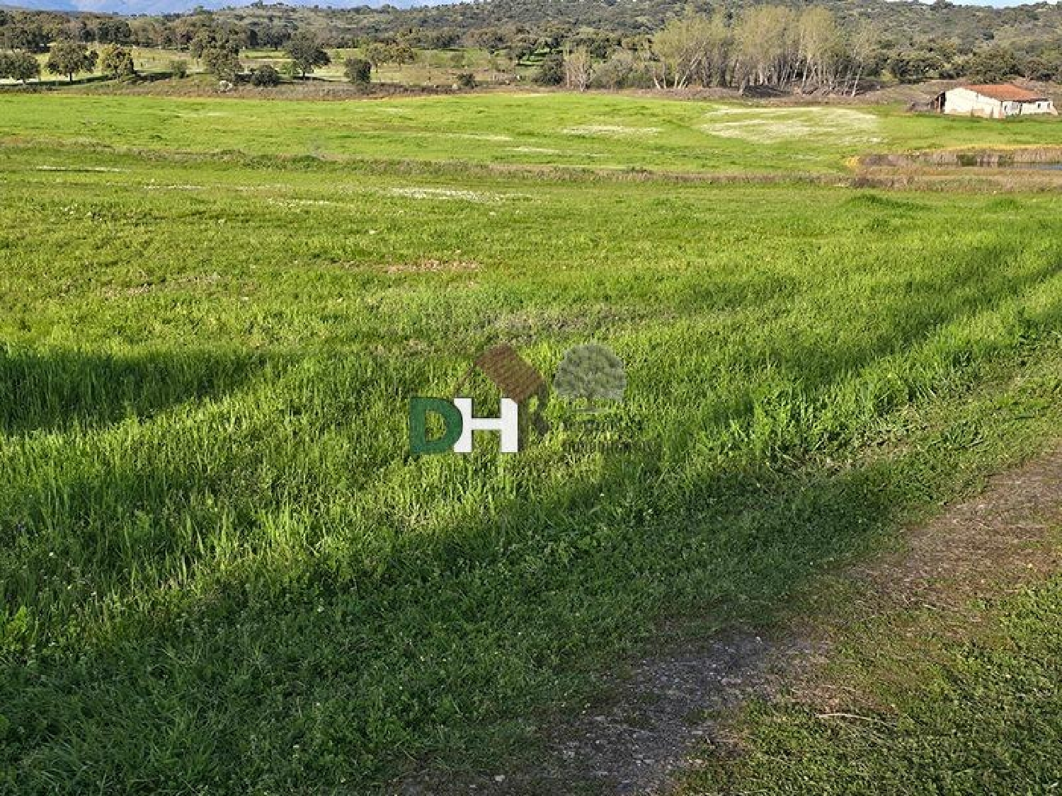 for sale plot Casar De Cáceres Tajo-Salor 3