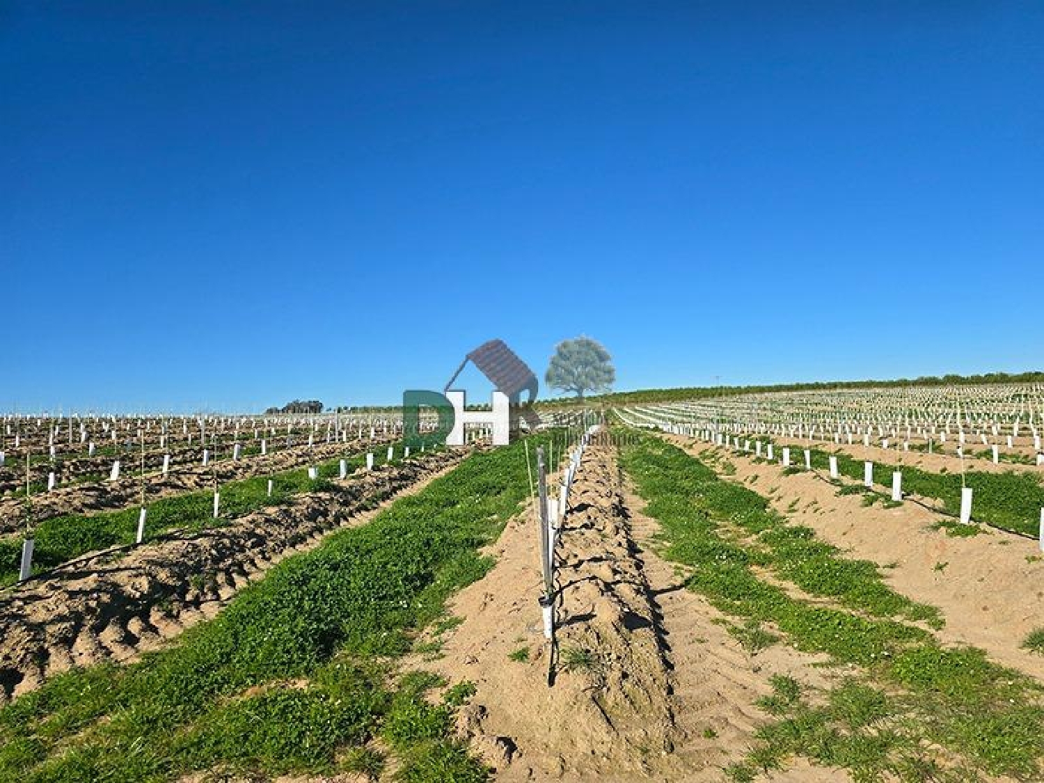 for sale plot Casar De Cáceres Tajo-Salor 4