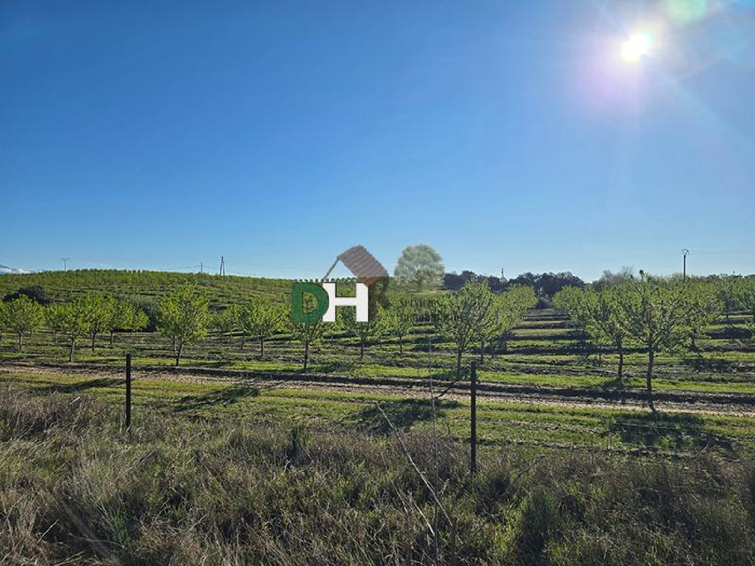 for sale plot Casar De Cáceres Tajo-Salor 7