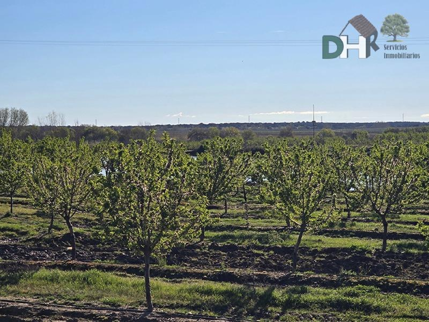 for sale plot Casar De Cáceres Tajo-Salor 3