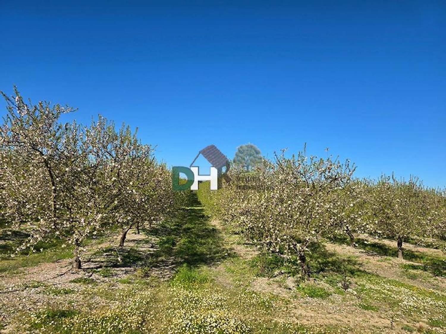 for sale plot Casar De Cáceres Tajo-Salor 1