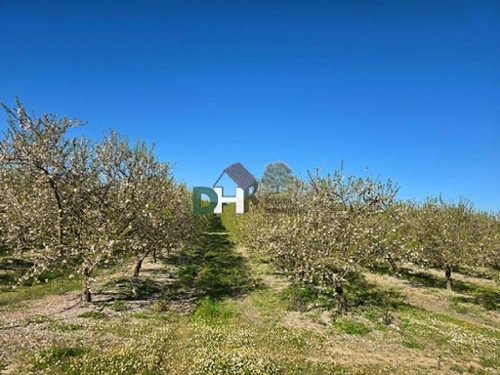 Casar De Cáceres Tajo-Salor plot foto 6368501