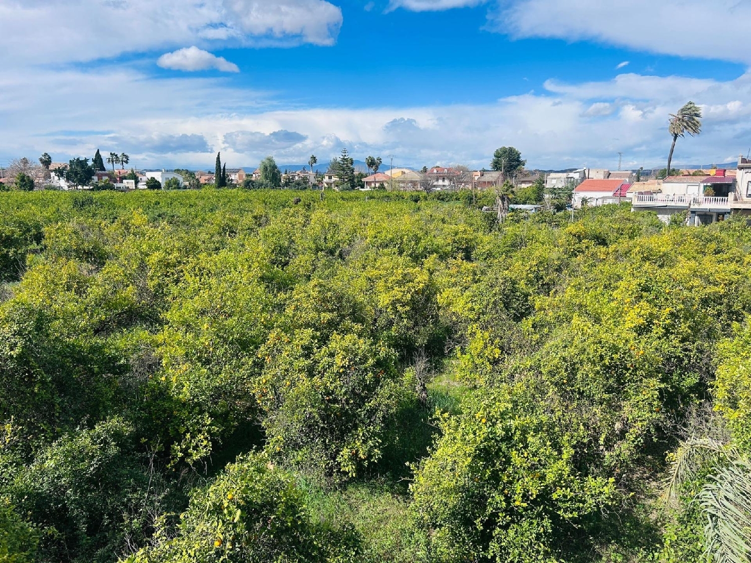 for sale plot Castrillo De Murcia Odra-Pisuerga 7