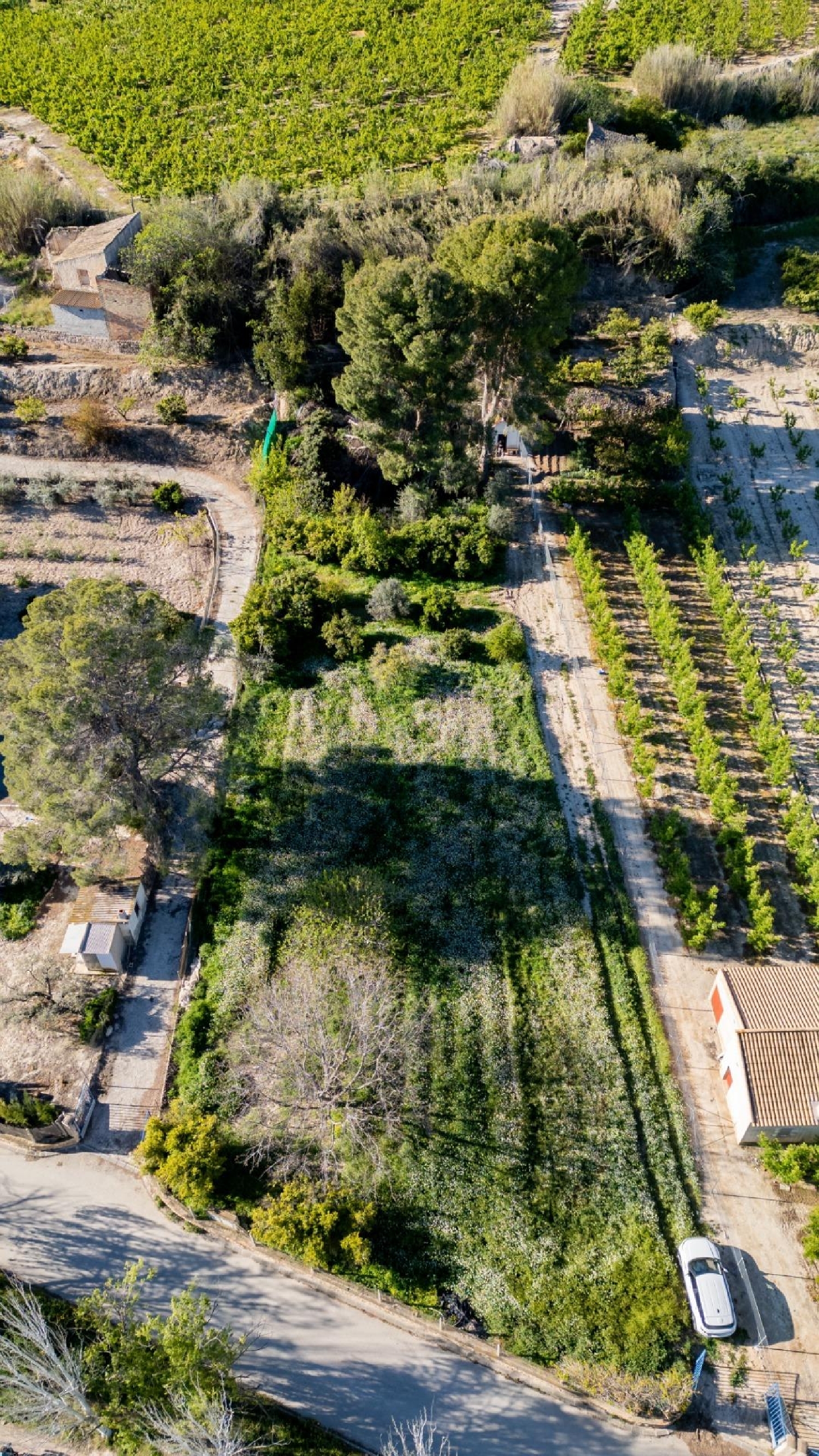 till salu tomt Cieza Vega Alta Del Segura 1