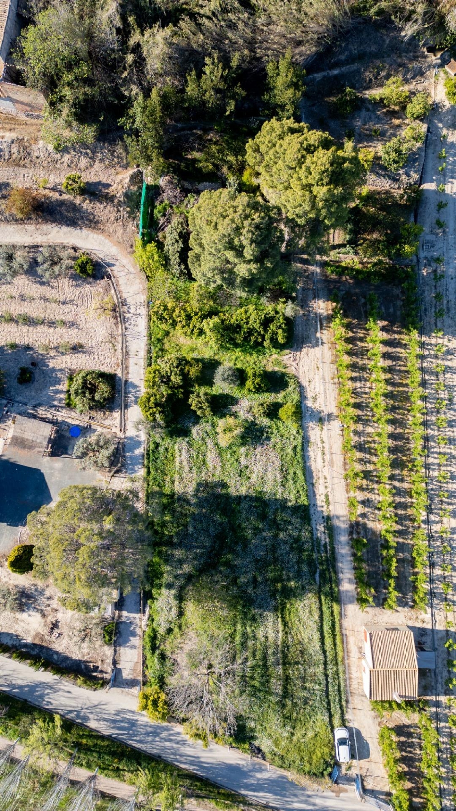 till salu tomt Cieza Vega Alta Del Segura 2
