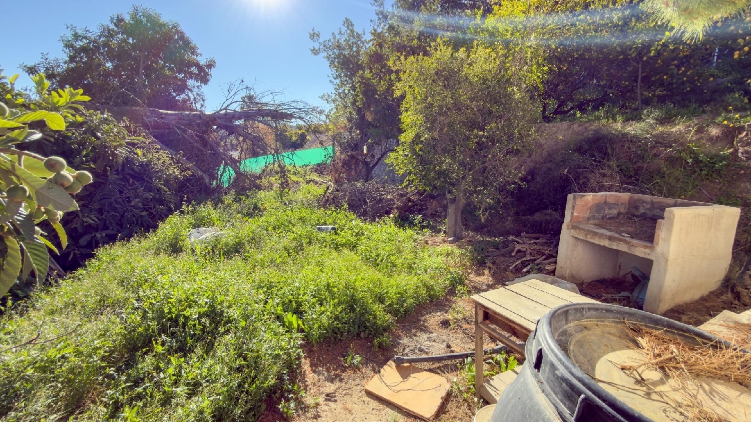 till salu tomt Cieza Vega Alta Del Segura 5