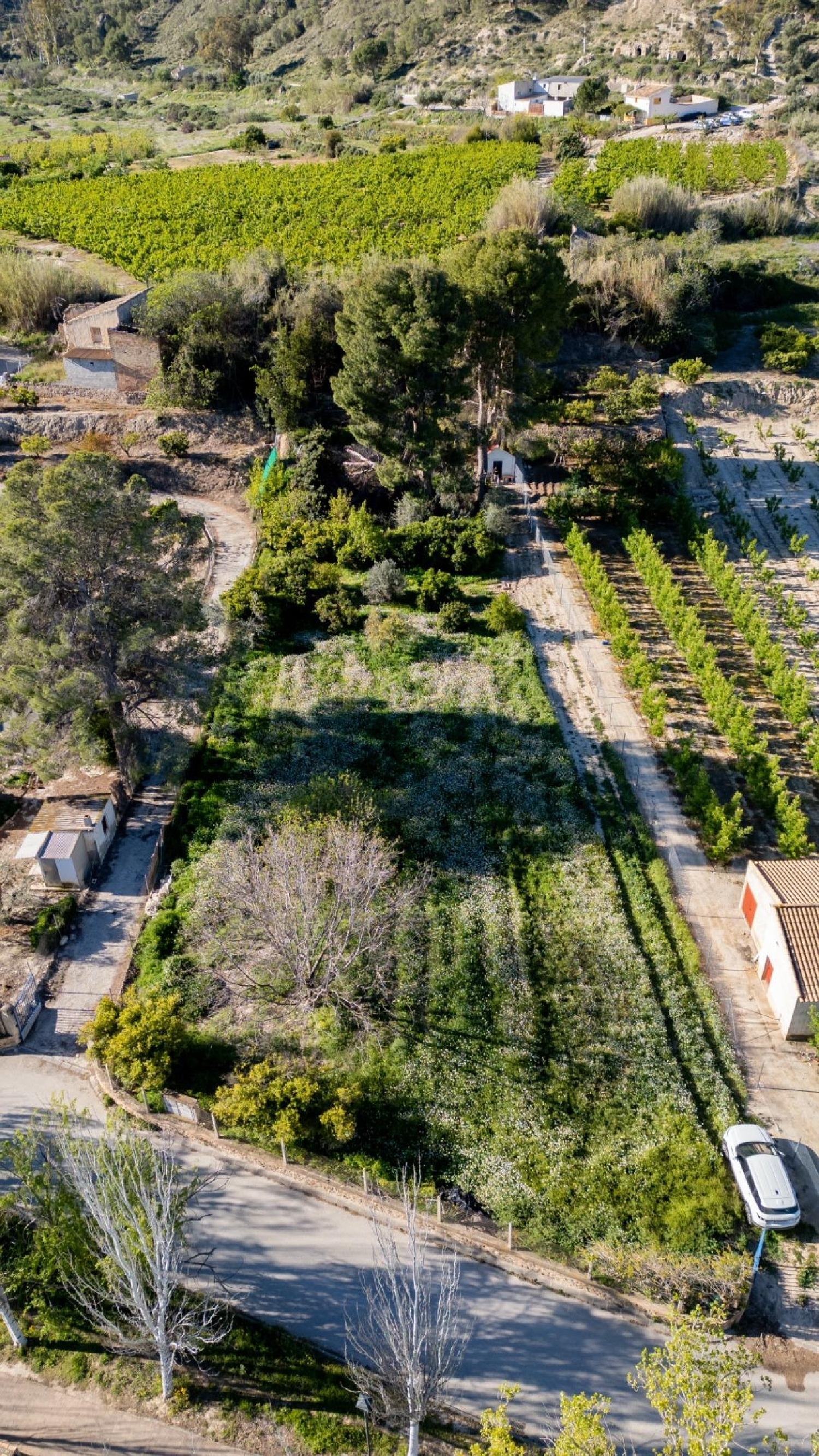 till salu tomt Cieza Vega Alta Del Segura 4