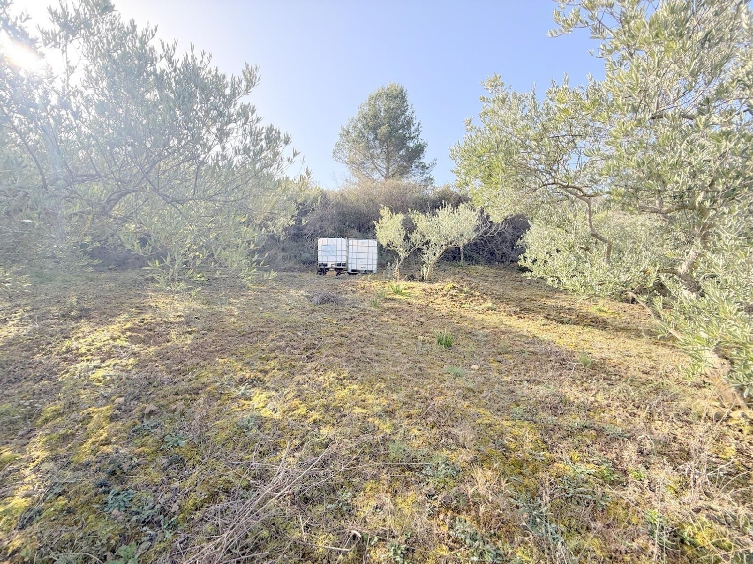  te koop perceel Cirauqui Tierra Estella 7