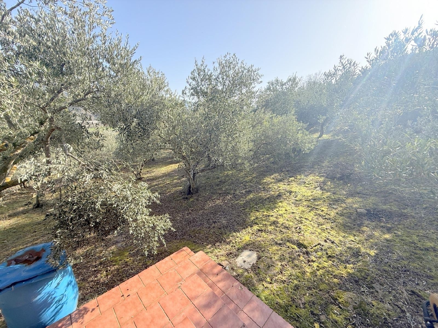  te koop perceel Cirauqui Tierra Estella 8