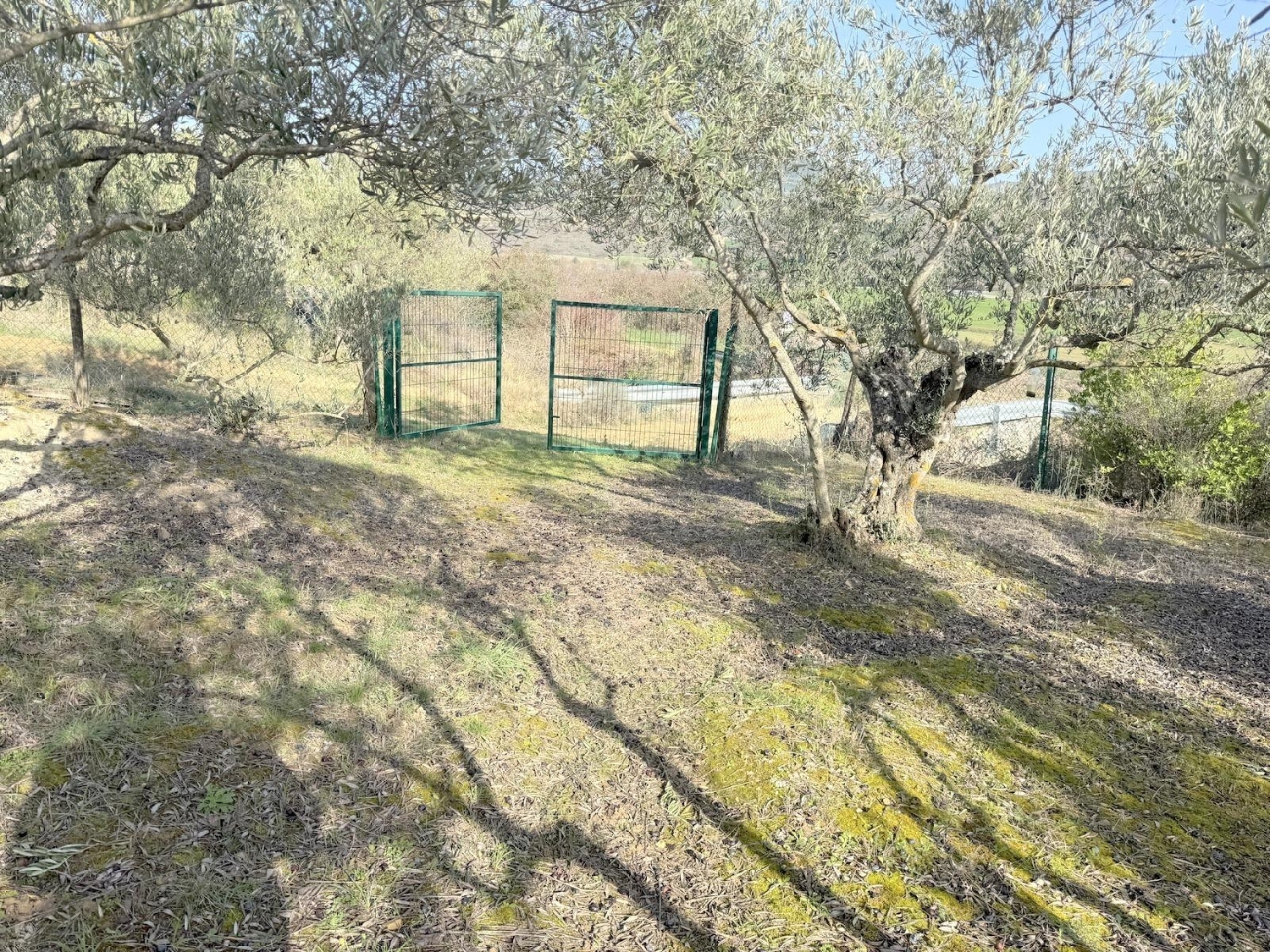  te koop perceel Cirauqui Tierra Estella 6