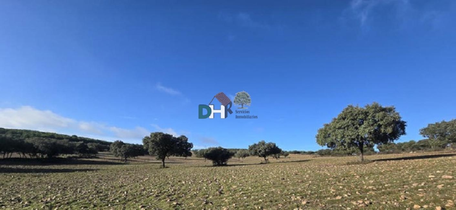  te koop perceel Ciudad Real Centro-El Pilar Campo De Calatrava 1