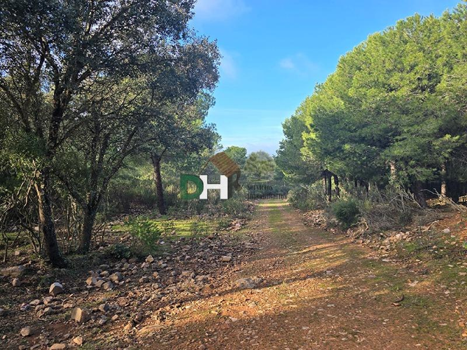  te koop perceel Ciudad Real Centro-El Pilar Campo De Calatrava 4