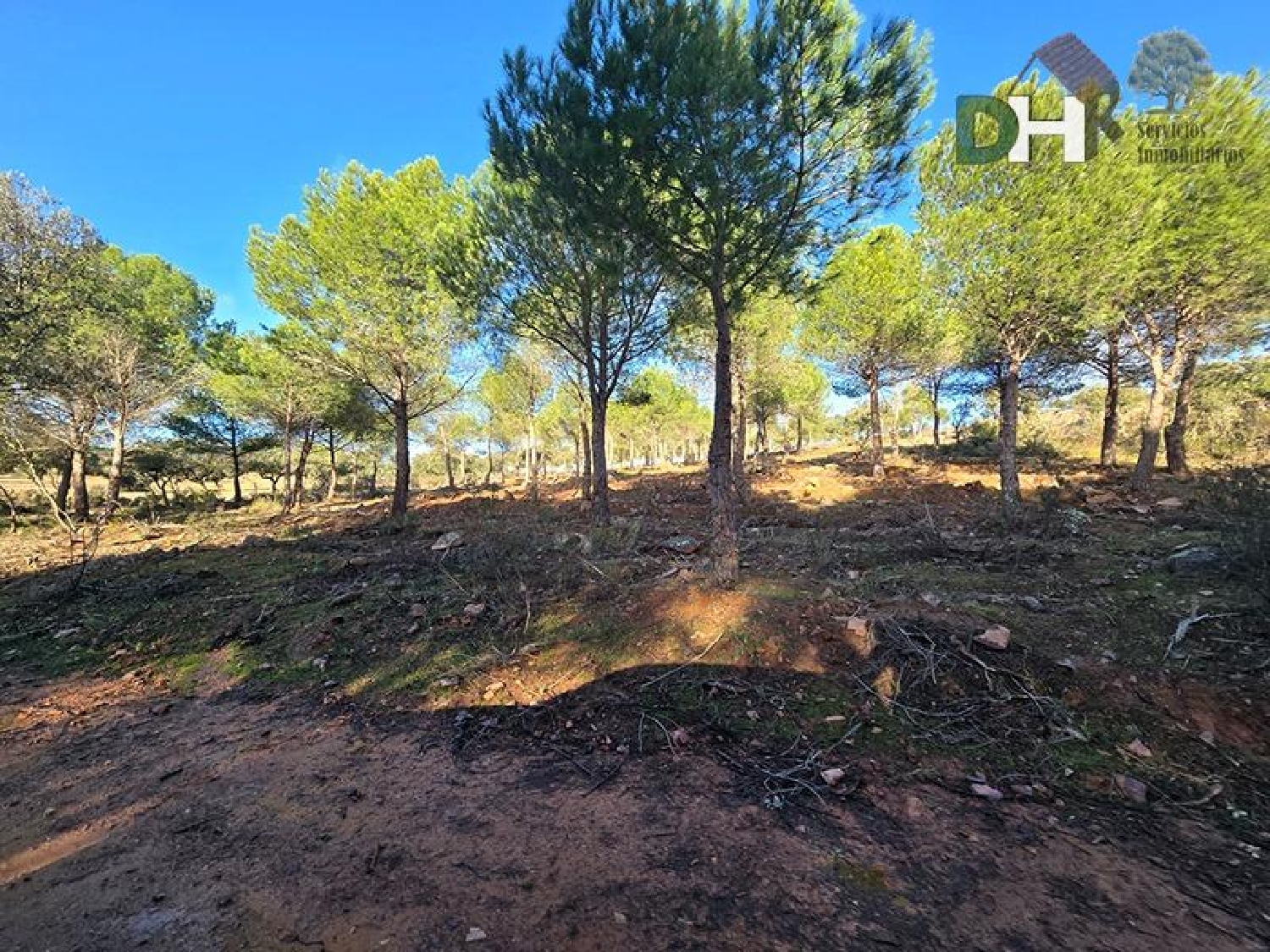  te koop perceel Ciudad Real Centro-El Pilar Campo De Calatrava 5