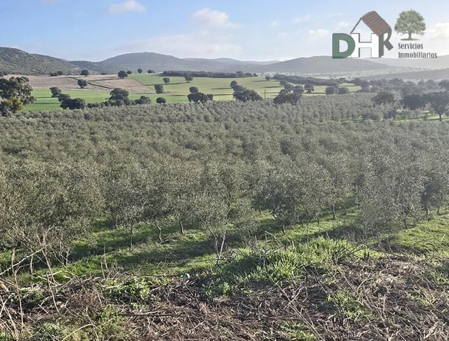  te koop perceel Ciudad Real Centro-El Pilar Campo De Calatrava 8