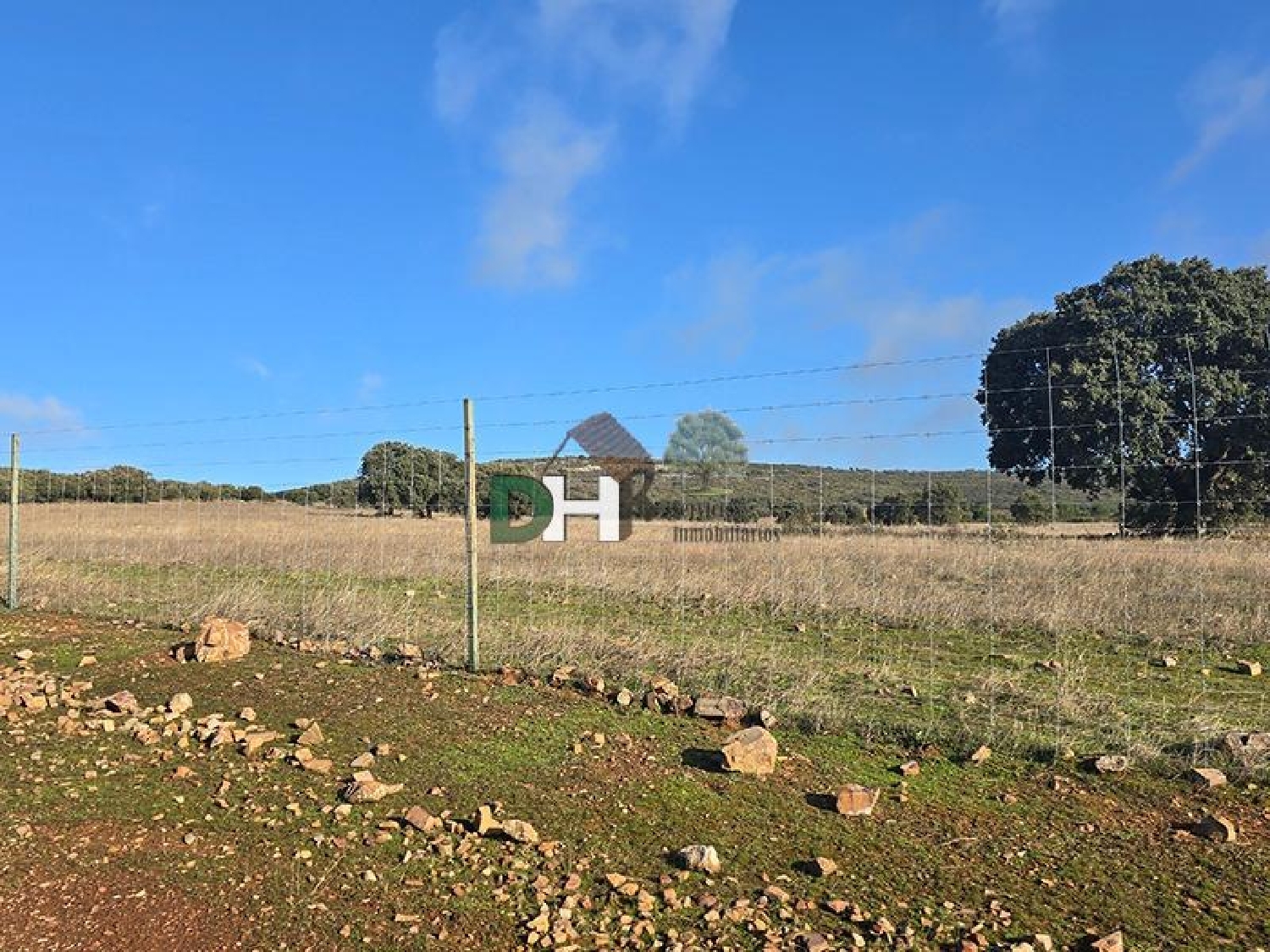  te koop perceel Ciudad Real Centro-El Pilar Campo De Calatrava 3