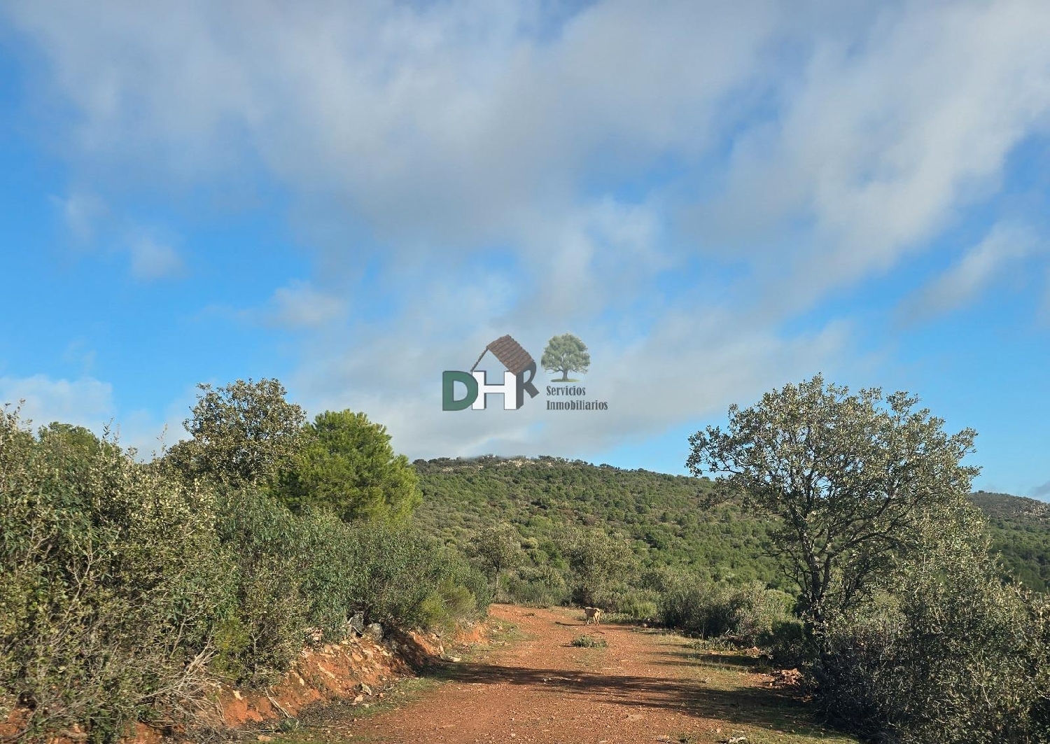  te koop perceel Ciudad Real Centro-El Pilar Campo De Calatrava 7