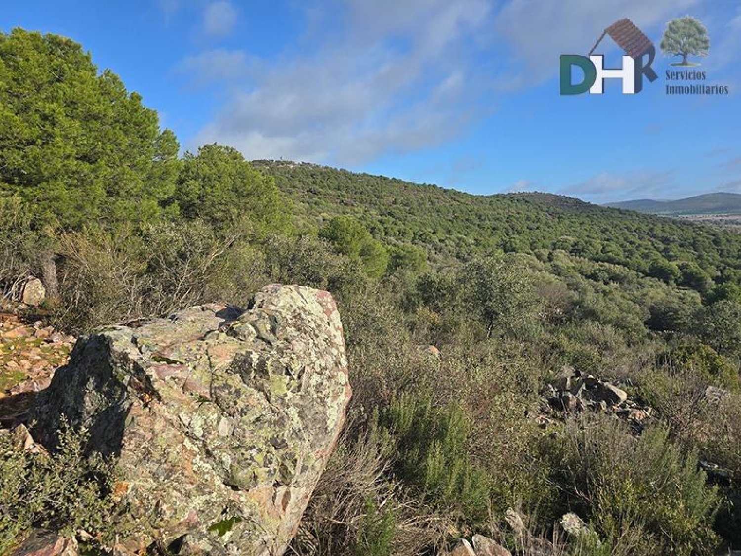  te koop perceel Ciudad Real Centro-El Pilar Campo De Calatrava 6