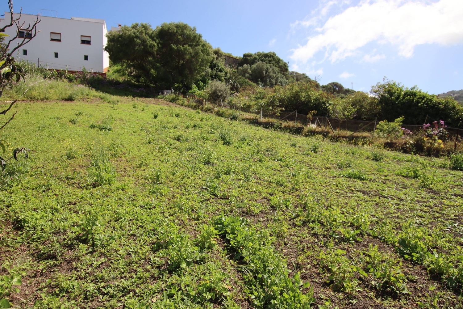  en venta terreno Costa De Santa Brigida Selva 1