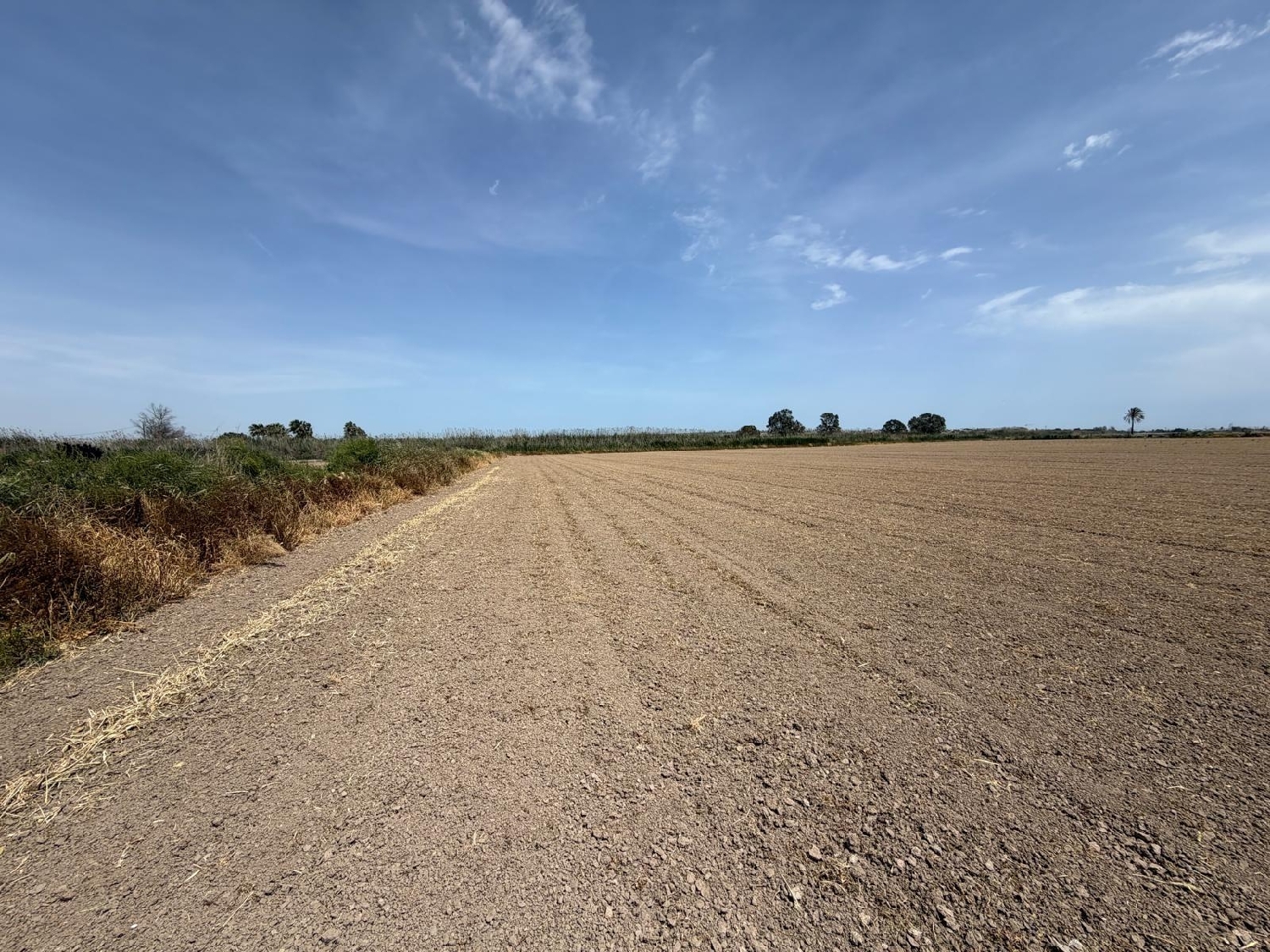  till salu tomt Dolores Baix Segura 4
