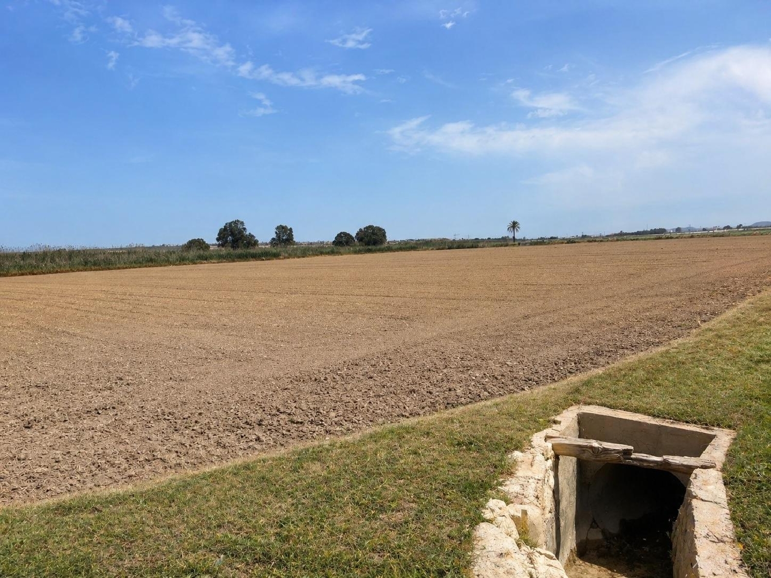  till salu tomt Dolores Baix Segura 1