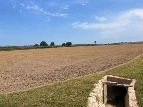 Dolores Baix Segura perceel foto 6376815