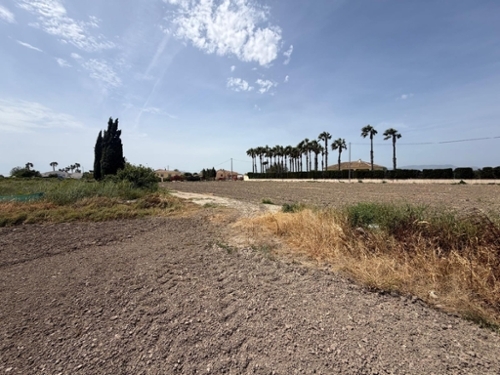 Dolores Baix Segura perceel foto 6376816