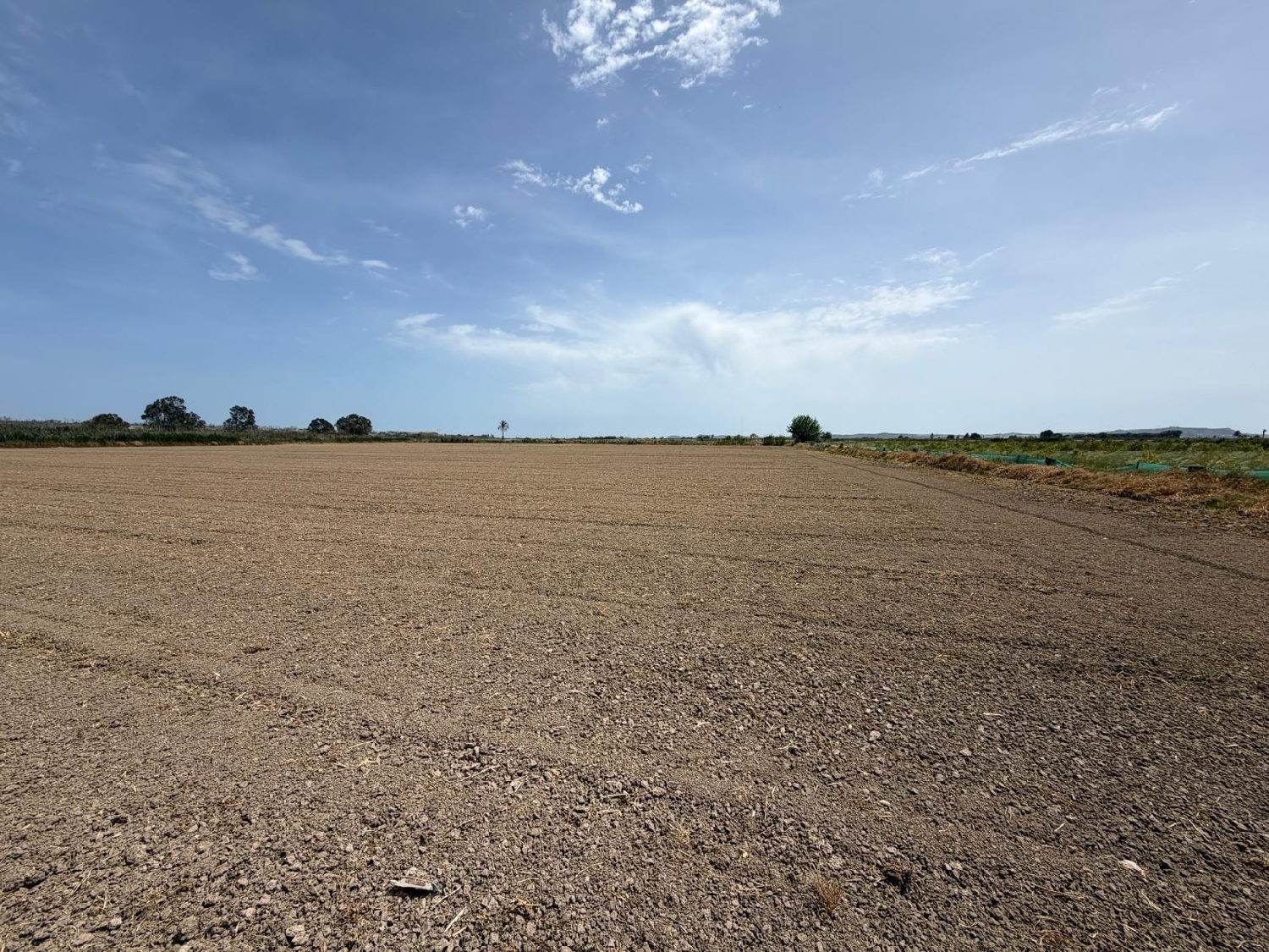  till salu tomt Dolores Baix Segura 5