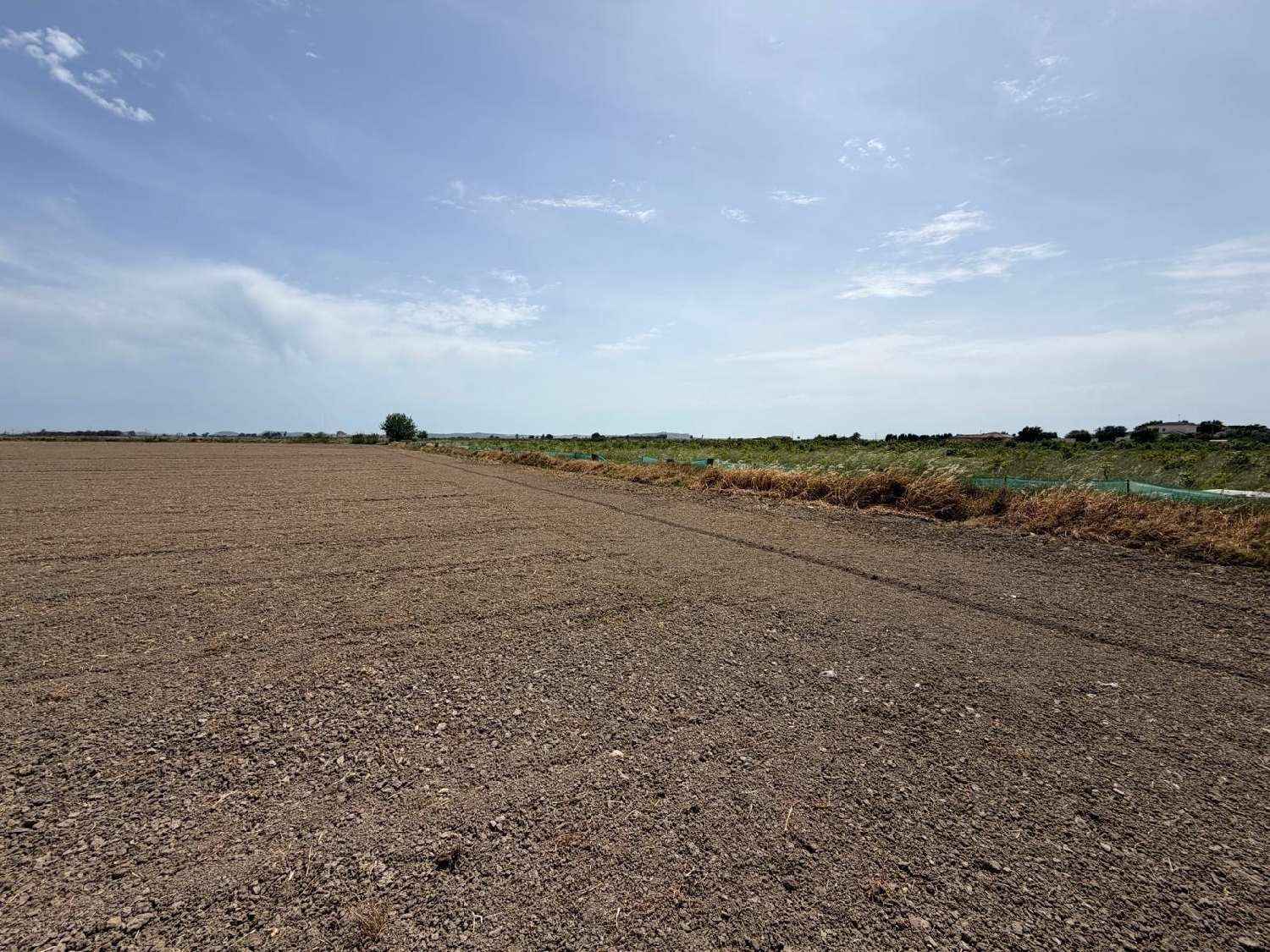  till salu tomt Dolores Baix Segura 3