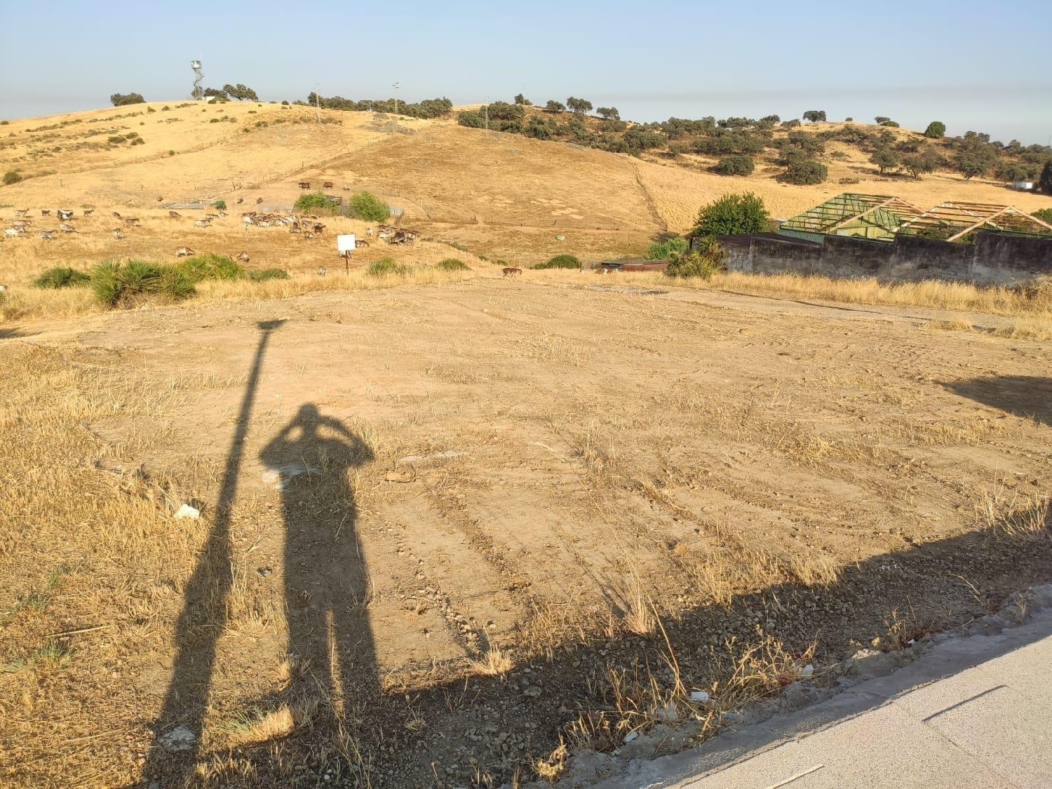  till salu tomt El Garrobo Sierra Norte 5