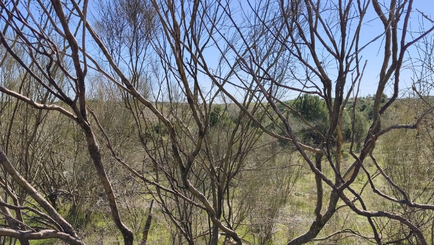  en venta terreno El Viso De San Juan Sagra (La) 4