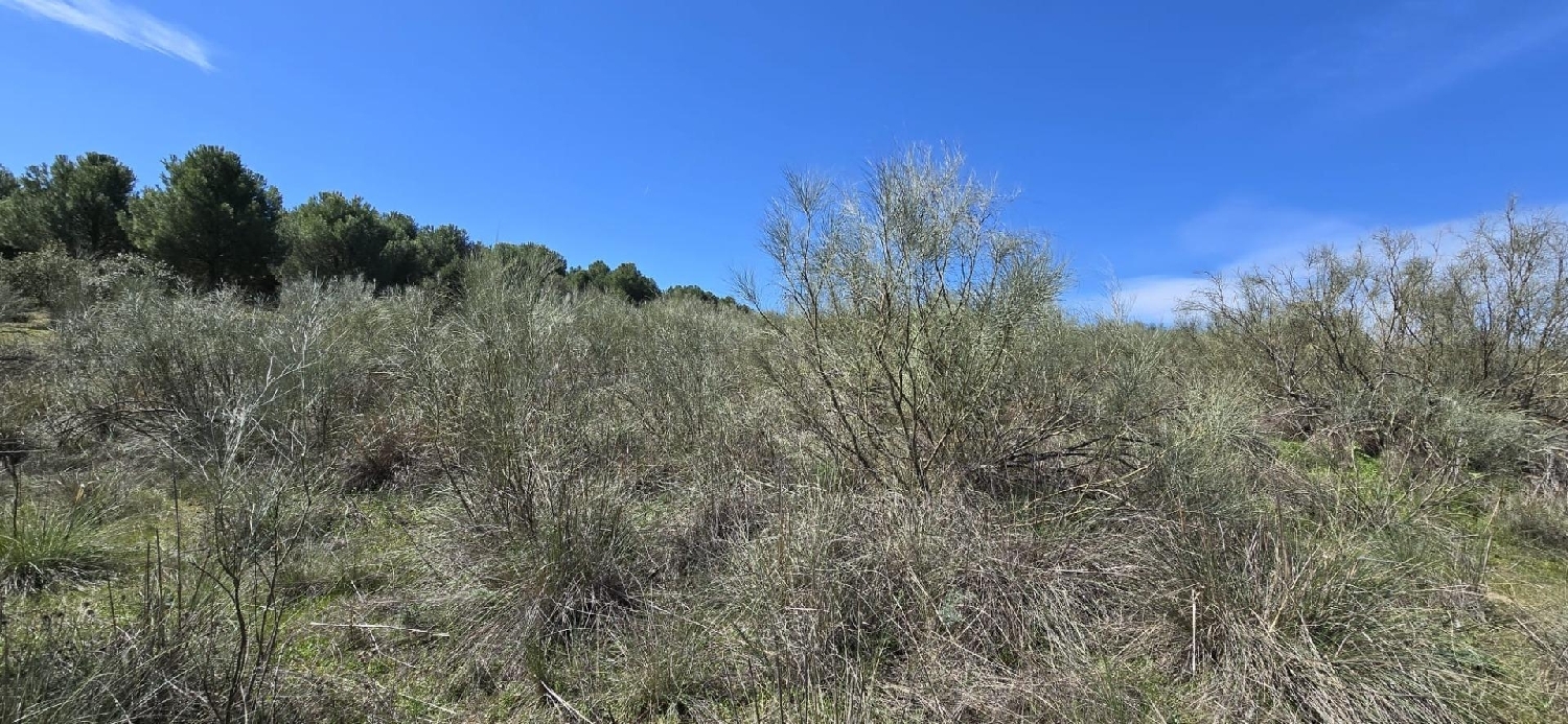  en venta terreno El Viso De San Juan Sagra (La) 3