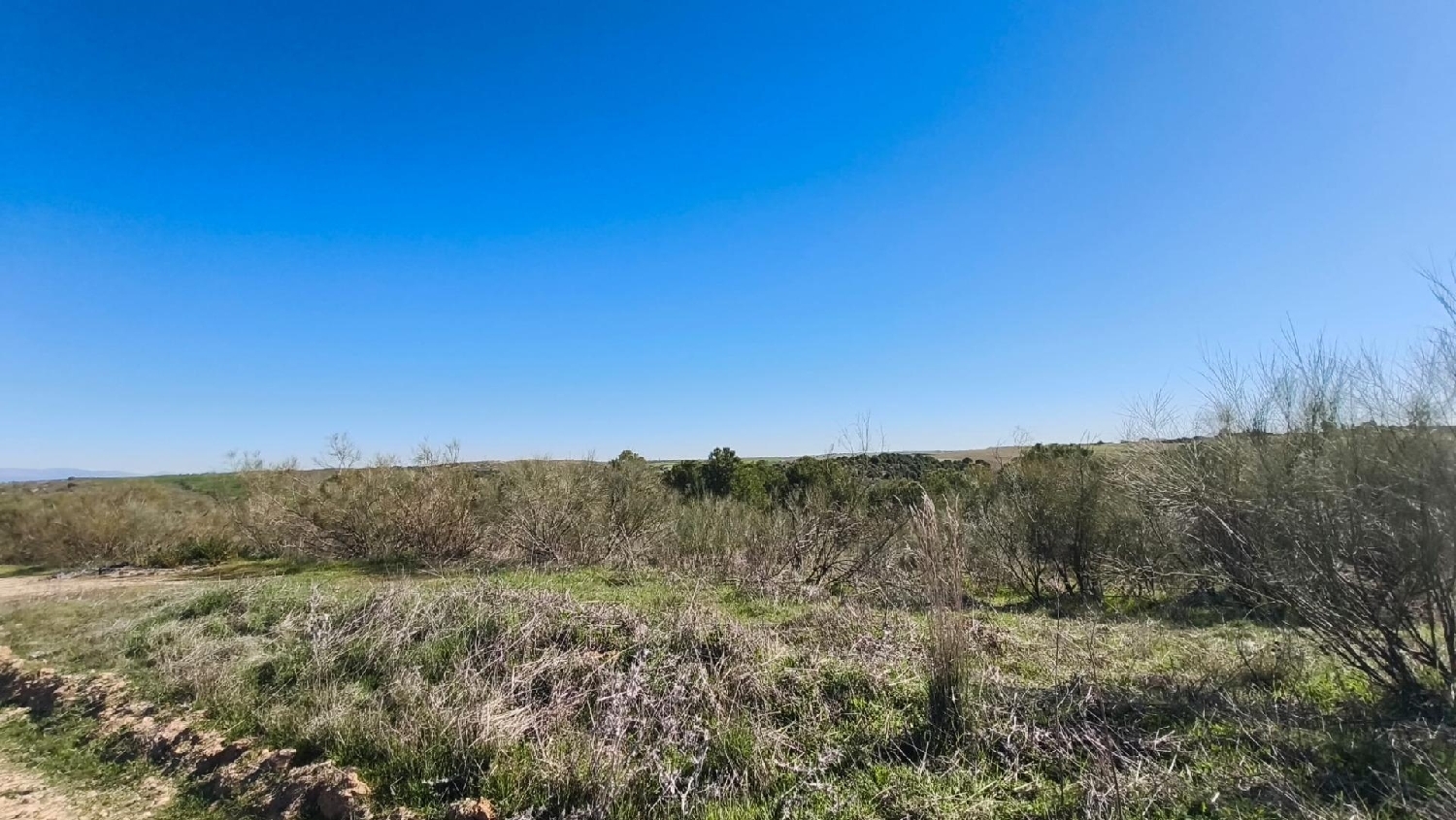  en venta terreno El Viso De San Juan Sagra (La) 6