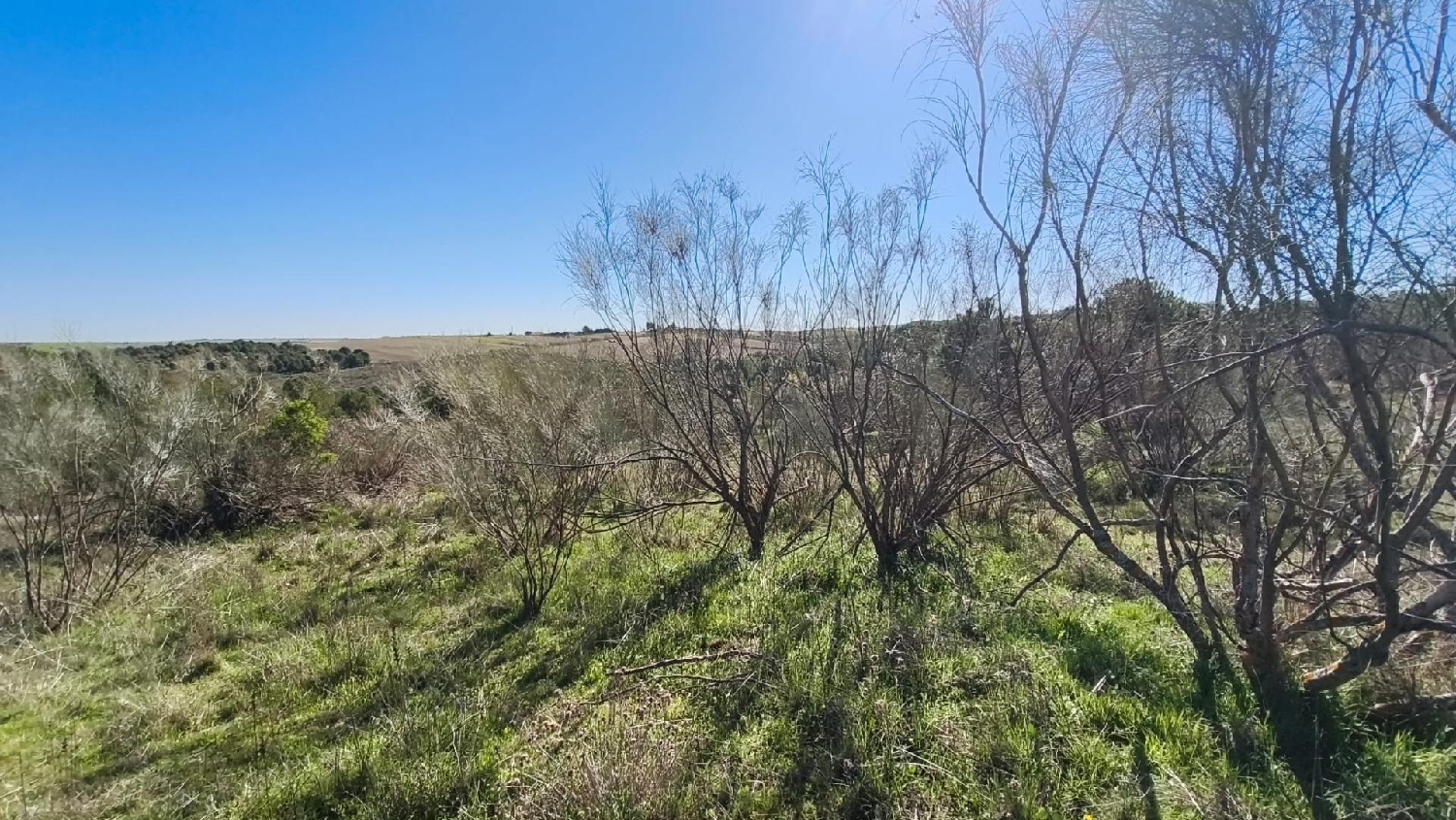  en venta terreno El Viso De San Juan Sagra (La) 1