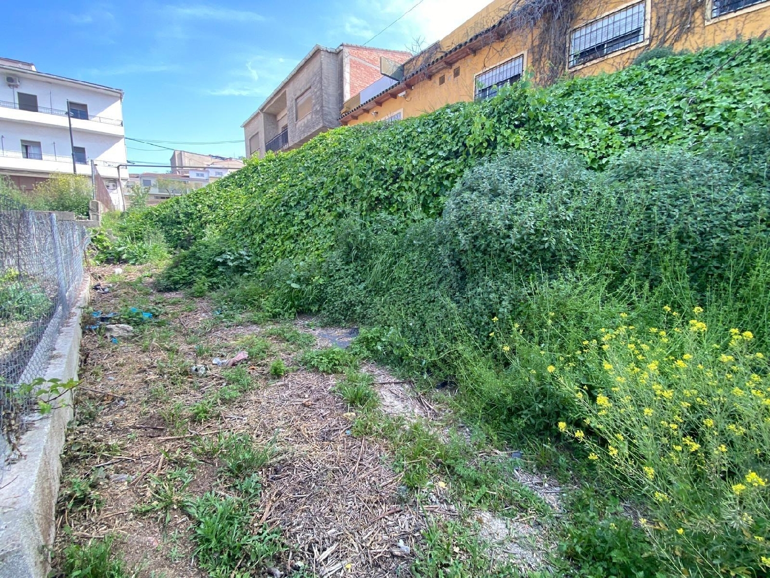  kaufen Grundstück Enguera Canal De Navarrés 4