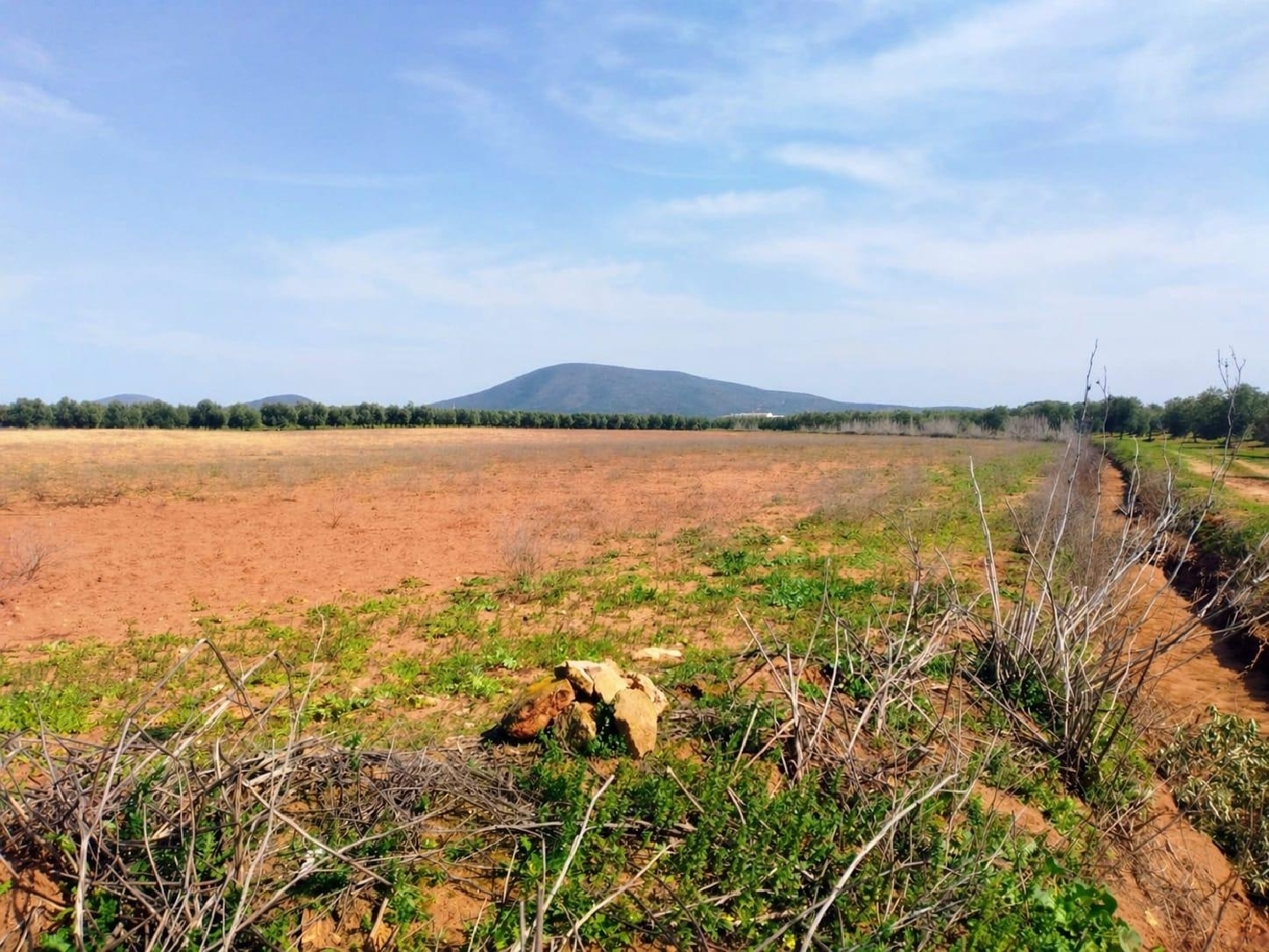  en venta terreno Fuente De Piedra Antequera 1