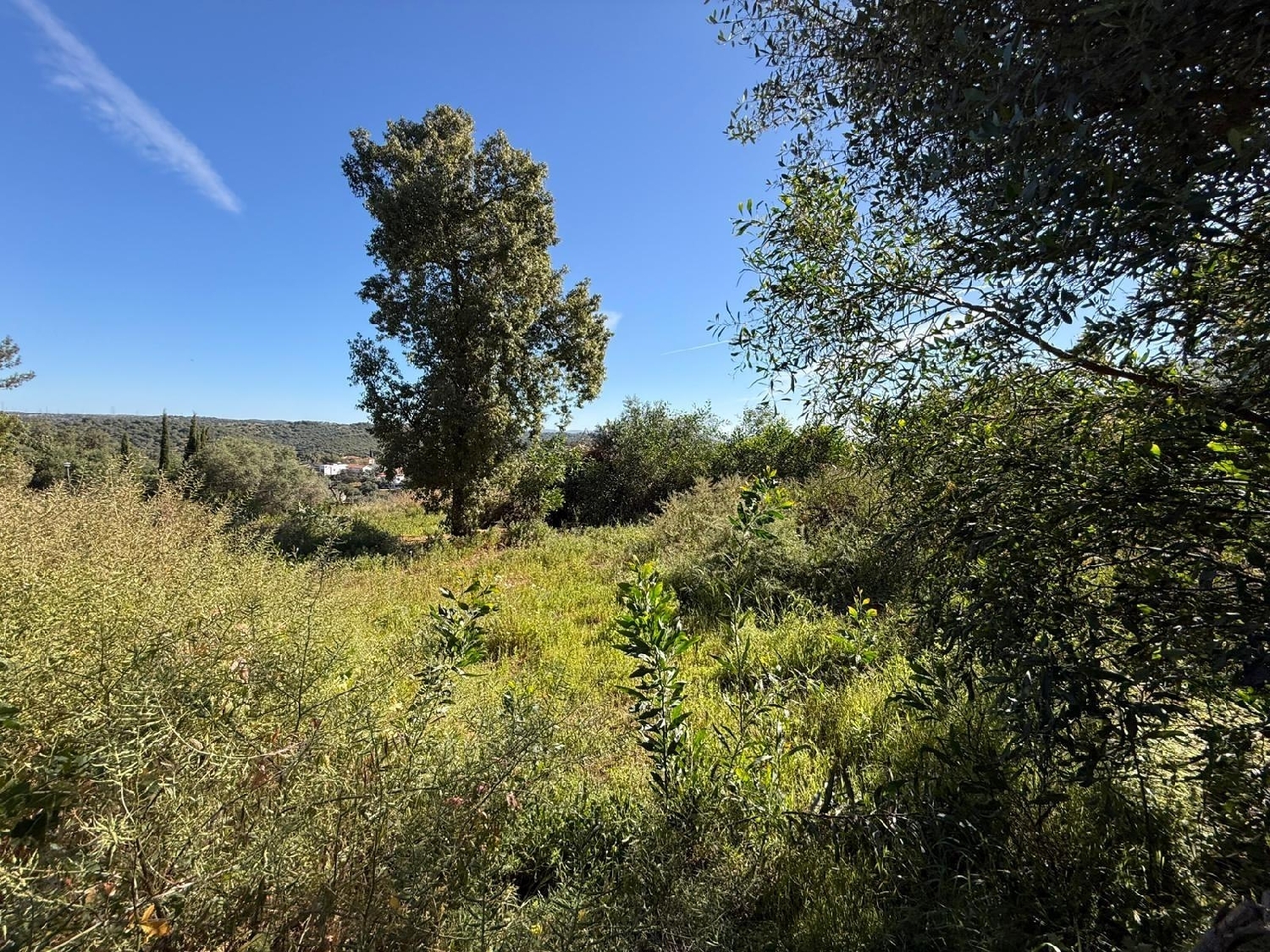  till salu tomt Guillena Sierra Norte 4