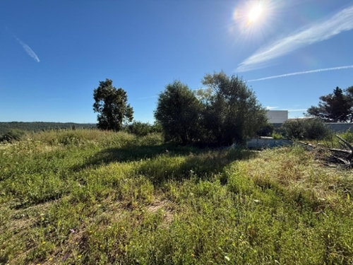 Guillena Sierra Norte tomt foto 6372594