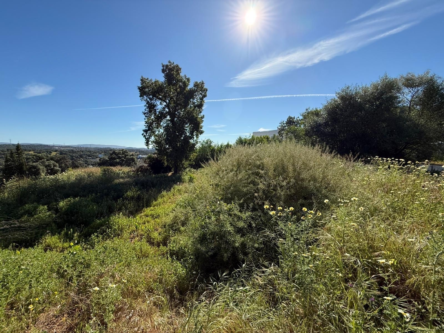  till salu tomt Guillena Sierra Norte 6