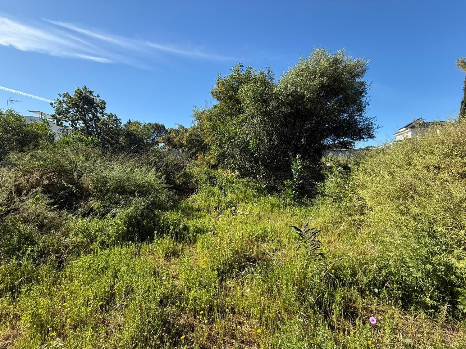  till salu tomt Guillena Sierra Norte 7