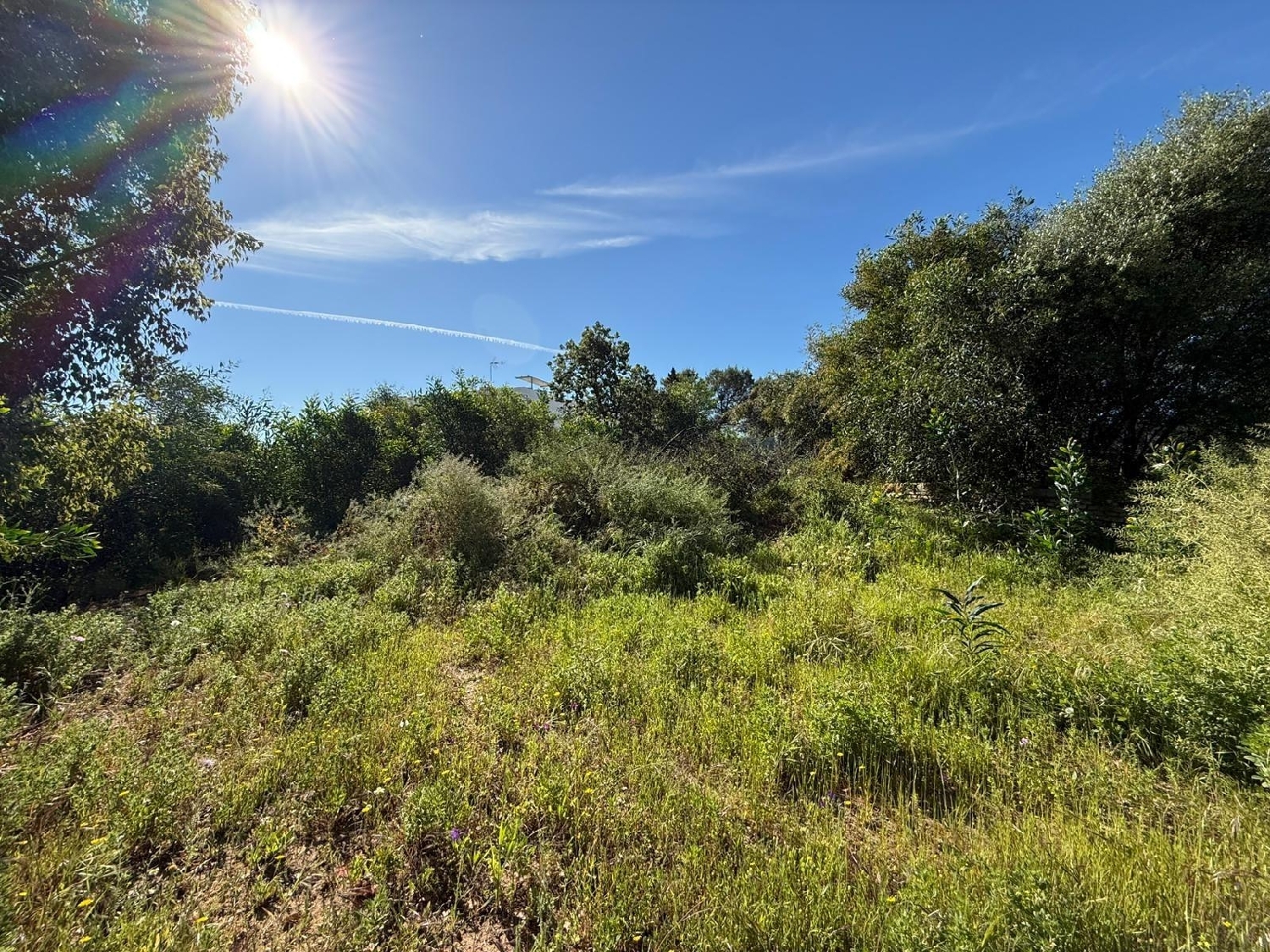  till salu tomt Guillena Sierra Norte 8