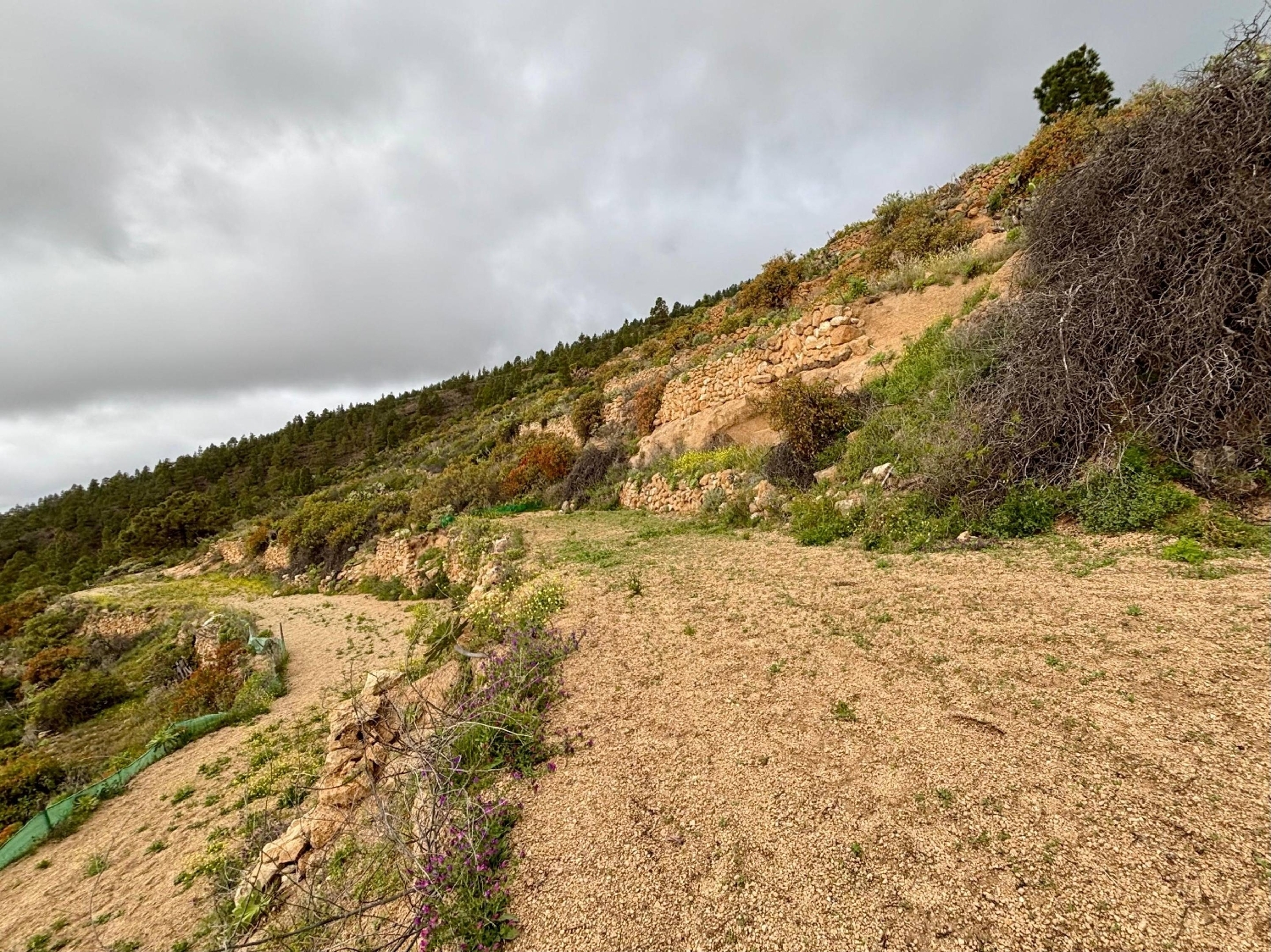  kaufen Grundstück Guimarans, Guimaráns Barcala 4