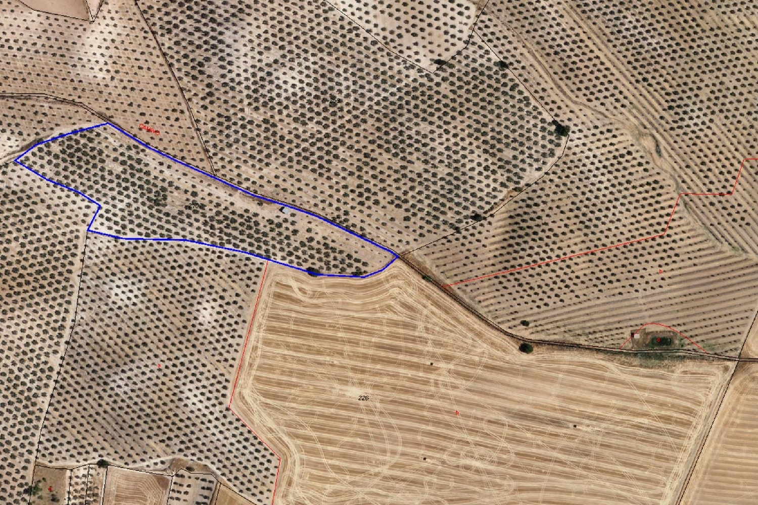  for sale plot Huelma Sierra Mágina 8