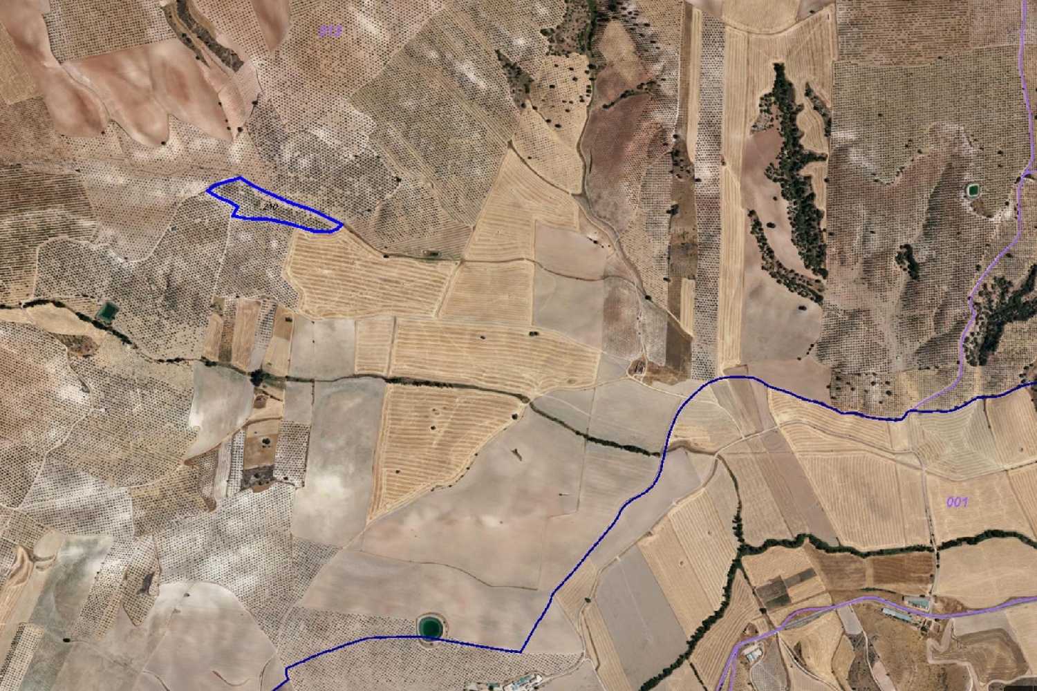  for sale plot Huelma Sierra Mágina 6