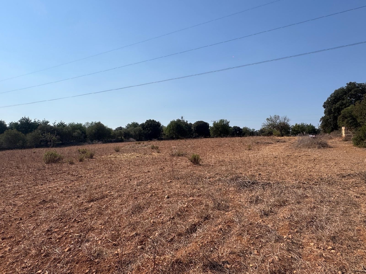  till salu tomt Inca Raiguer 8