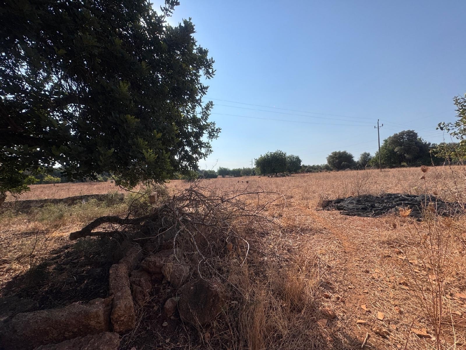  till salu tomt Inca Raiguer 2