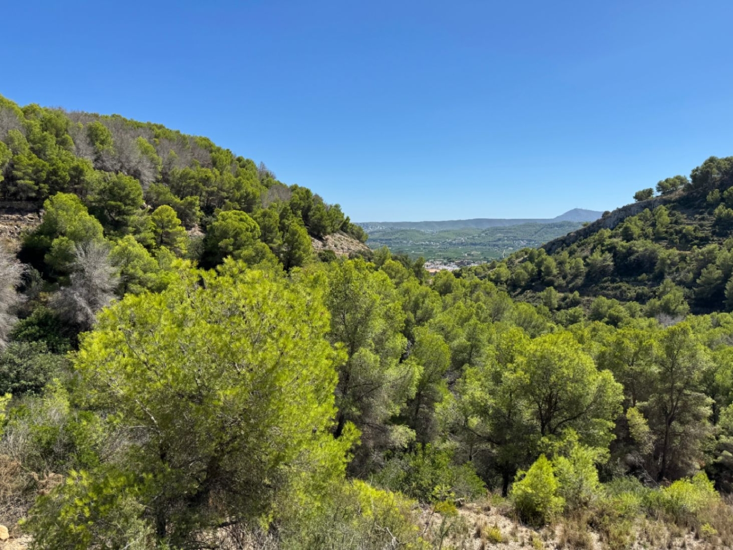  te koop perceel Jávea Marina Alta 1