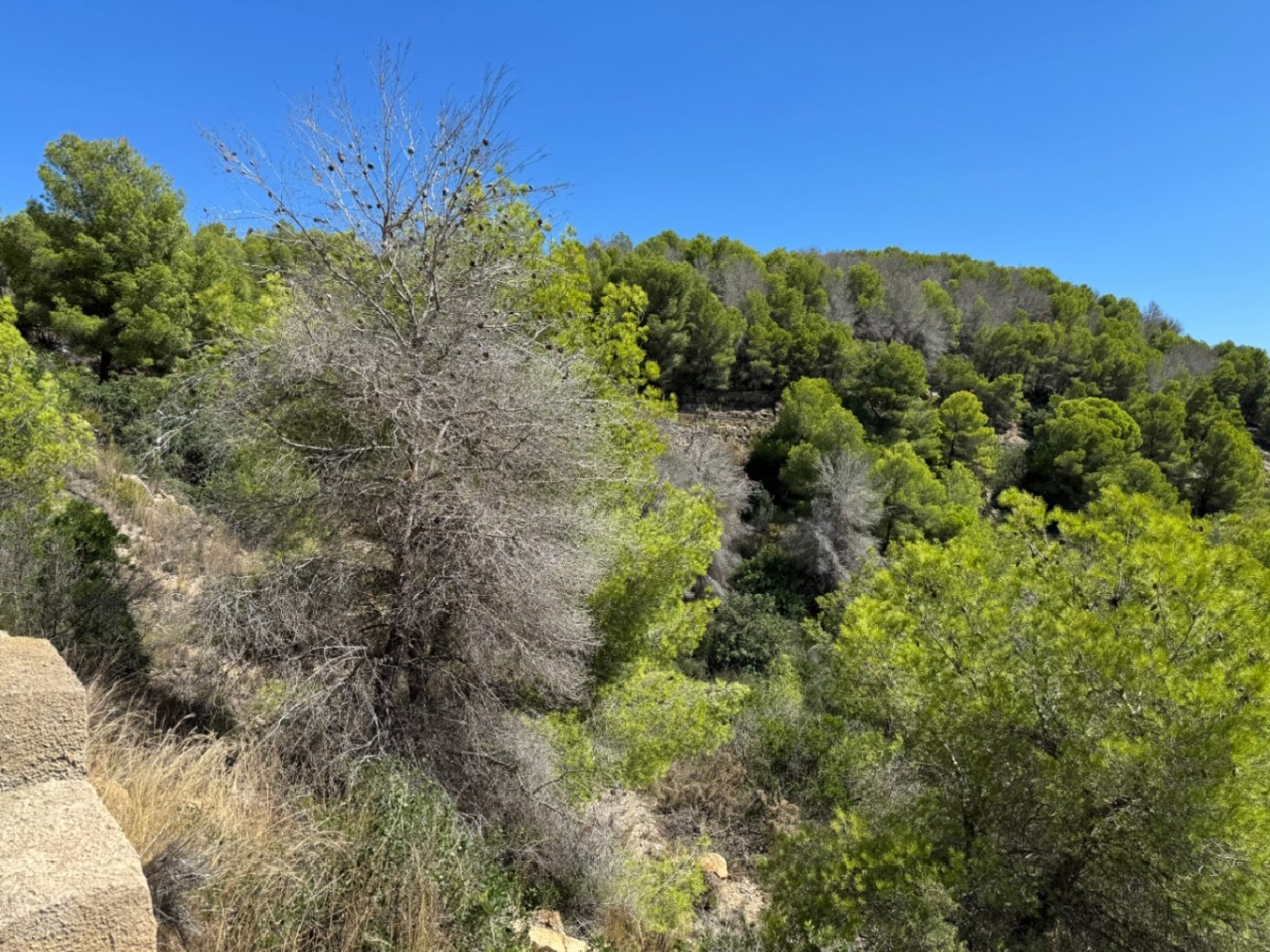  te koop perceel Jávea Marina Alta 6