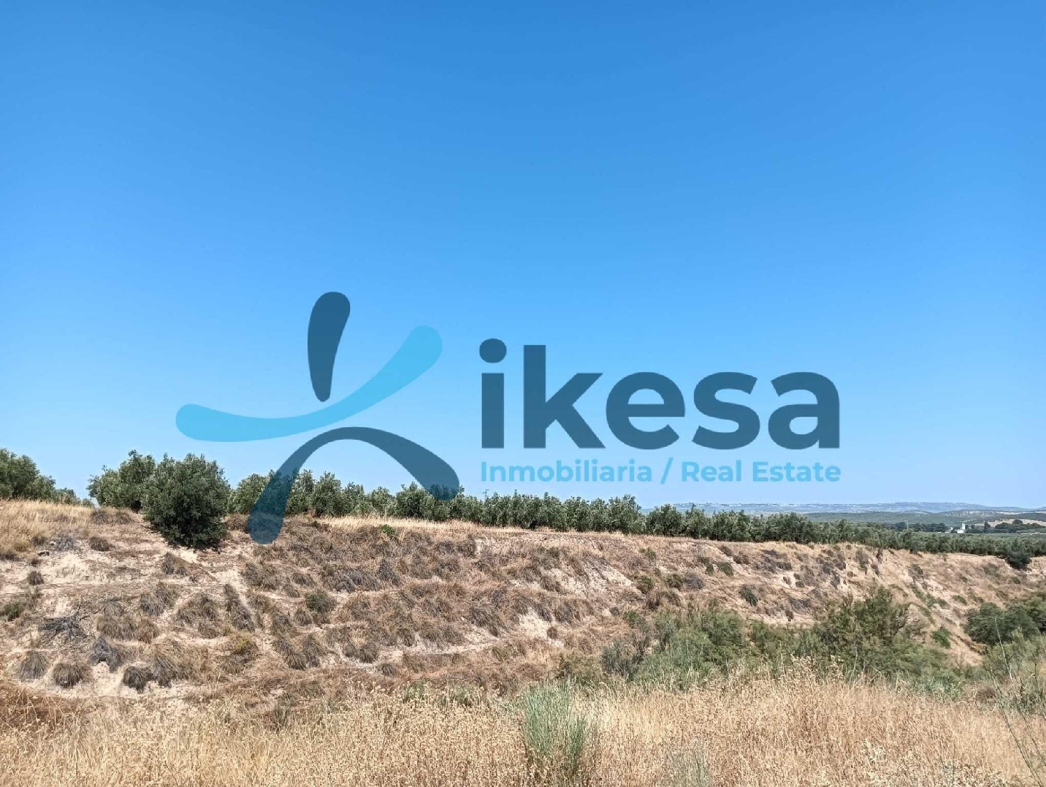  à vendre terrain Jodar Sierra Mágina 6